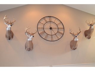 54.7 Acres with 50 tillable and 4.3 wooded.  Surrounded by heavy deer population on CRP land.  Great trophy deer hunting on established food plots.  Hunting tower.

Receive income on tillable acres while abundance of deer hunting on established food plot. - Great Investment Opportunity - Tillable Land, Recreation & Building Site